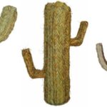 cactus de esparto