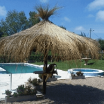 Precios de sombrillas de esparto